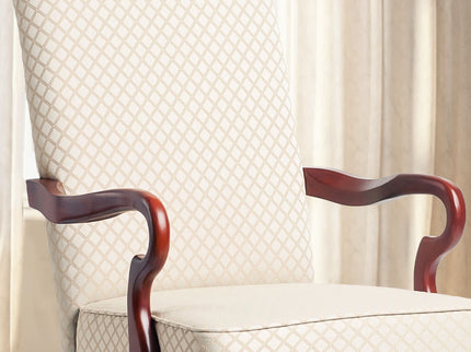 Delaney - Elegant Gooseneck Arm Chair With High Back