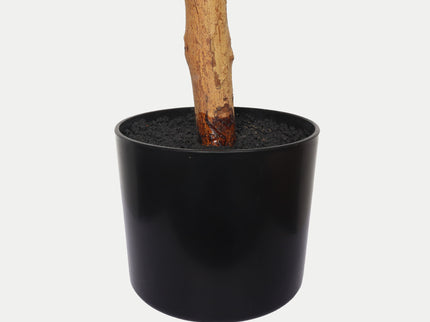 6Ft Artificial Ficus Tree With Natural Trunk In Pot For Indoor Home Office Decor - Green Leaves