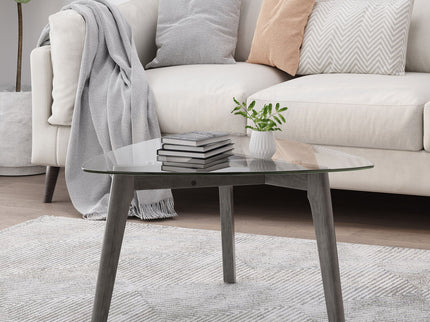 Modern Coffee Table With Wood Construction And Compact Design