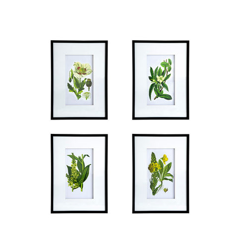 Botanical Flower Wall Art, Home Decor For Living Room Dining Room, Bedroom, Hallway (Set of 4) - White / Blue