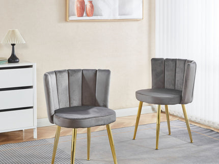 Ergonomic Dining Chair (Set of 2)