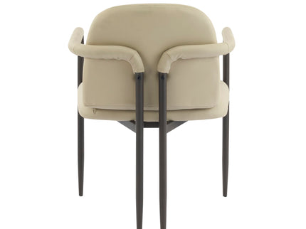Modern Dining Chair (Set of 2) With Iron Frame - Espresso / Khaki