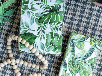 Botanical And Book Boxes (Set of 2) - White / Green