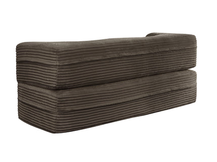 Floor Convertible Sleeper Sofa Bed With 2 Pillows