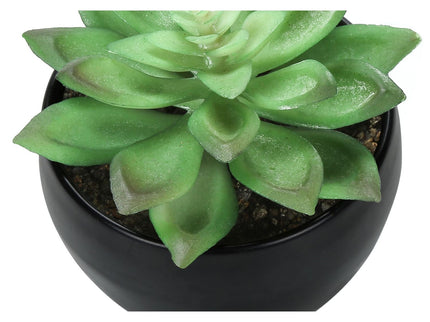 Artificial Succulent Plants (Set of 3)