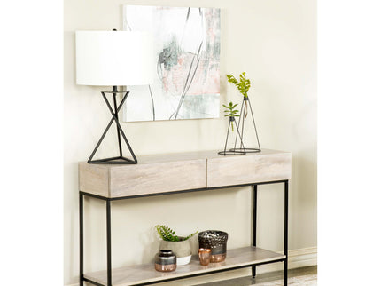 Terrace - 2 Drawer Entryway Console Table - White Washed