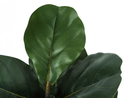 49" Tall, Artificial Plant, Fiddle Tree, Indoor, Faux, Fake, Floor, Greenery, Potted, Real Touch, Decorative - Green / Black