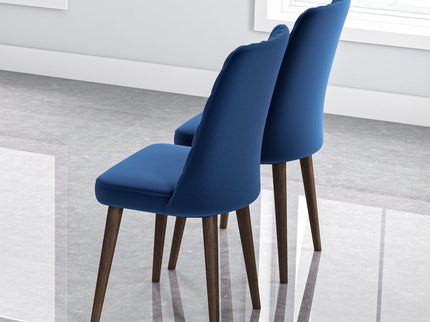 Katie - Mid-Century Modern Dining Chair (Set of 2)