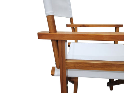 Folding Director Chair