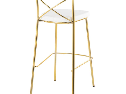 Modern Charlotte - Contemporary Fixed Height Barstool (Set of 2)