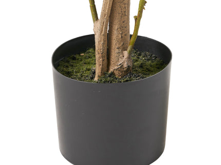 Artificial Laurel Tree