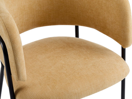 Modern Upholstered Arm Dining Chair Set