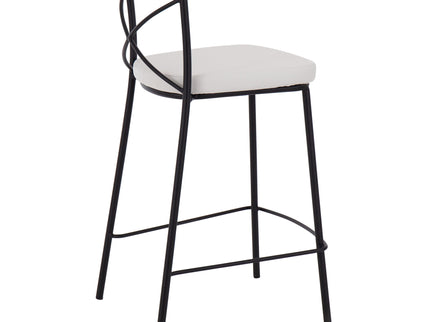 Modern Charlotte - Contemporary Fixed Height Counter Stool (Set of 2)