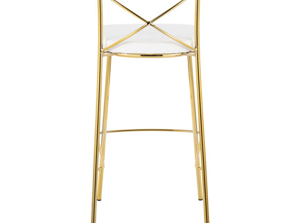 Modern Charlotte - Contemporary Fixed Height Barstool (Set of 2)