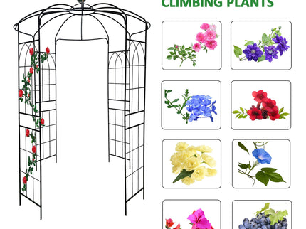 Metal Garden Arch Iron Garden Arbors Gazebo Dia High Birdcage Shape Pergola Pavilion For Wedding Ceremony
