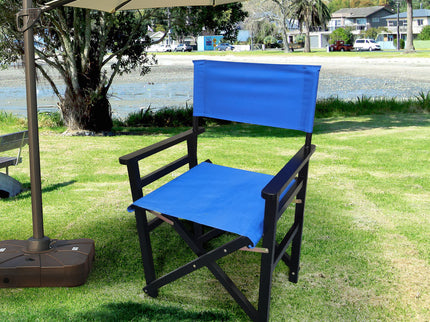 Folding Director Chair