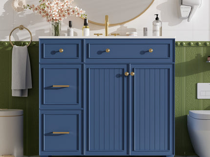 Bathroom Vanity With Sink, Soft Close Doors, Adjustable Shelves