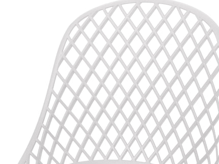 Lily Chair (Set of 2)
