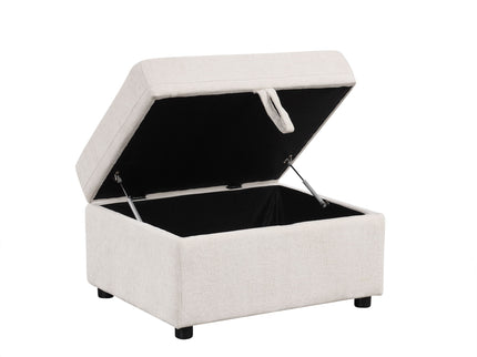Sectional Sofa Convertible Pull-Out Bed With Storage Ottoman & USB Ports