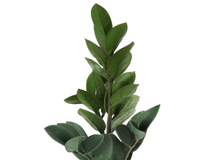 20" Tall, Artificial Plant, Zz, Indoor, Faux, Fake, Table, Greenery, Potted, Real Touch, Decorative - Green / Gray