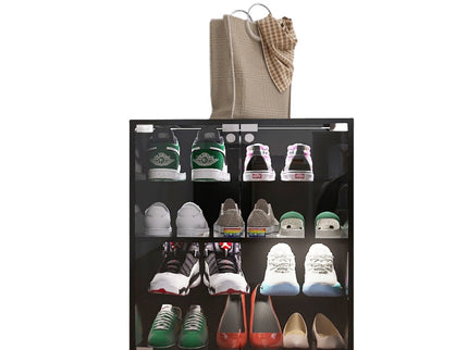 4 Layers Shoe Cabinet With Glass Door And Glass Layer Shoes Display Cabinet With LED Light Bluetooth Control - Black