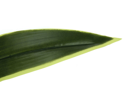 47" Tall, Artificial Plant, Dracaena Tree, Indoor, Faux, Fake, Floor, Greenery, Potted, Real Touch, Decorative - Green / Black