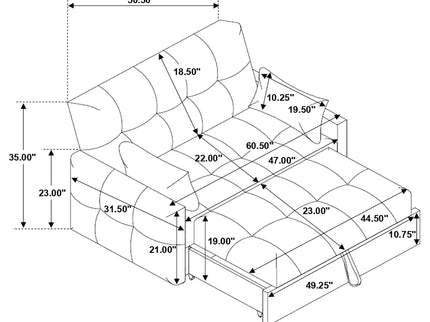 Alvara - Tufted Cushion Pull Out Sleeper Sofa Bed