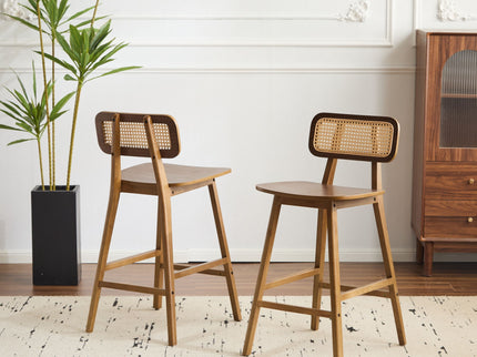 Bari - Indoor Wood Barstool (Set of 2)