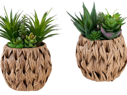 Artificial Succulent, Table Decor (Set of 2) - Green