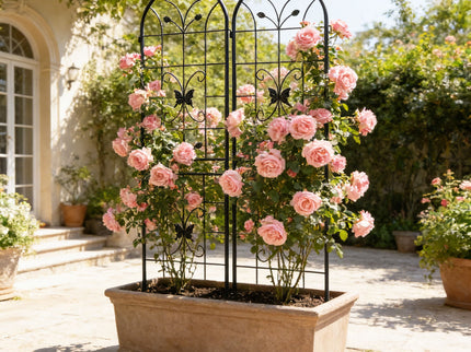 Garden Metal Trellis Rustproof Trellis For Climbing Plants Outdoor Flower Support