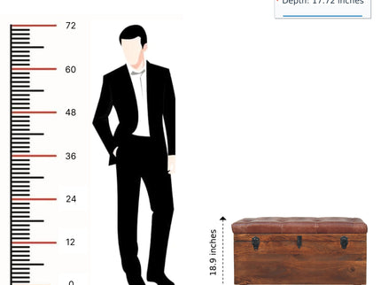 Buffalo - Storage Trunk