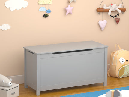 Toy Box Storage With Safety Hinged Lid