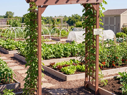 Wedding Arbor With Trellis Design