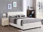 White / Full