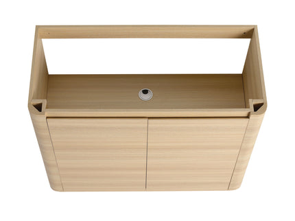 Freestanding Bathroom Vanity With Sink & 2 Soft Close Doors