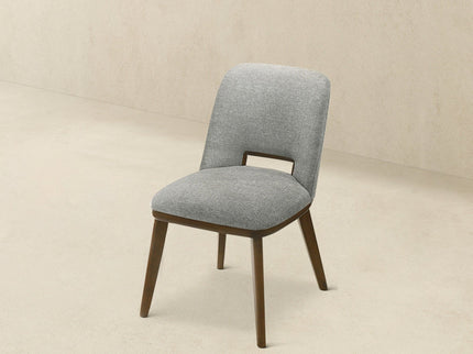Blake - Modern Dining Chair (Set of 2)