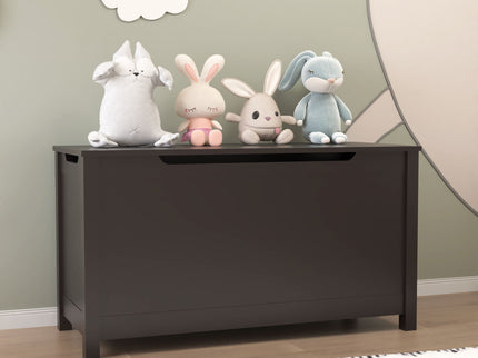 Toy Box Storage With Safety Hinged Lid