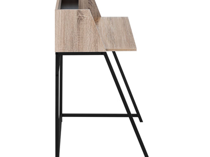Computer Desk For Home Office Laptop, Storage Shelves, Contemporary & Modern