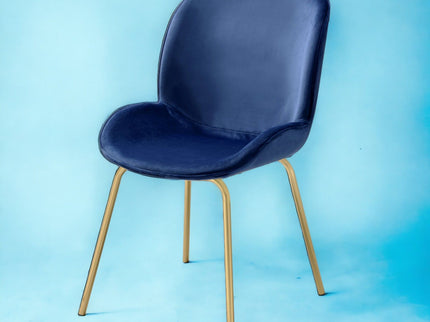 Chuchip - Side Chair (Set of 2) - Blue / Gold
