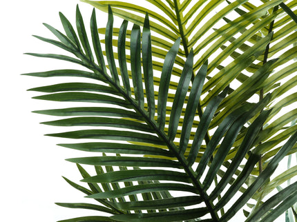 57" Tall, Artificial Plant, Palm Tree, Indoor, Faux, Fake, Floor, Greenery, Potted, Real Touch, Decorative - Green / Black