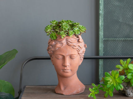 D7X11" Visage Head Bust Planter - Brown