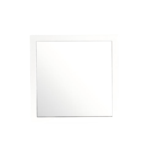 Burlington - Modern Design Transitional Wall Mirror