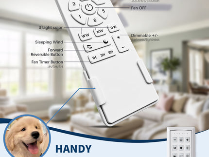Mordern Flush Mount Ceiling Fan With Light And Remote Control