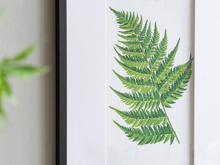 Botanical And Fern Wall Art, Wall Decor For Living Room Dining Room Entryway (Set of 4) - White / Black