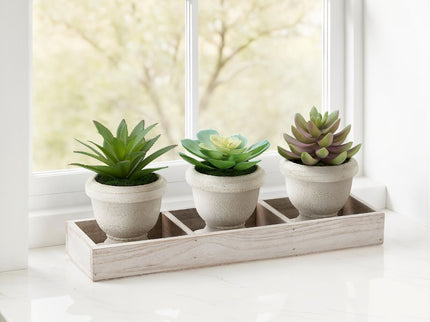Artificial Succulent, Table Decor (Set of 3) - Green / Beige