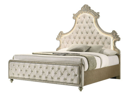 Lucienne - Bed With LED Lighting