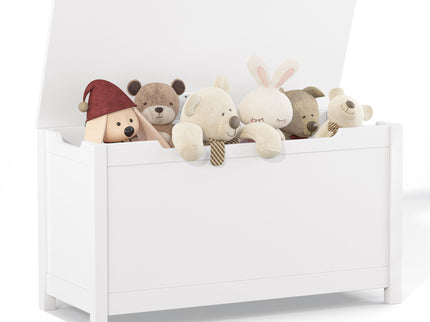 Toy Box Storage With Safety Hinged Lid