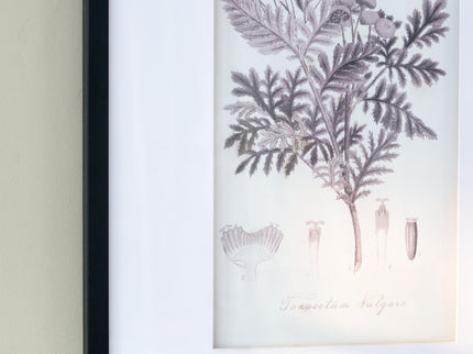 Botanical Wall Art Prints, Home Decor For Living Room Dining Room, Bedroom, Hallway (Set of 4) - White / Black