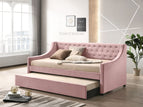 Pink / Twin