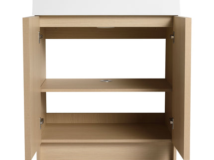 Freestanding Bathroom Vanity With Resin Sink & Soft Close Cabinet Doors